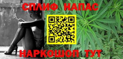 стафф Славгород