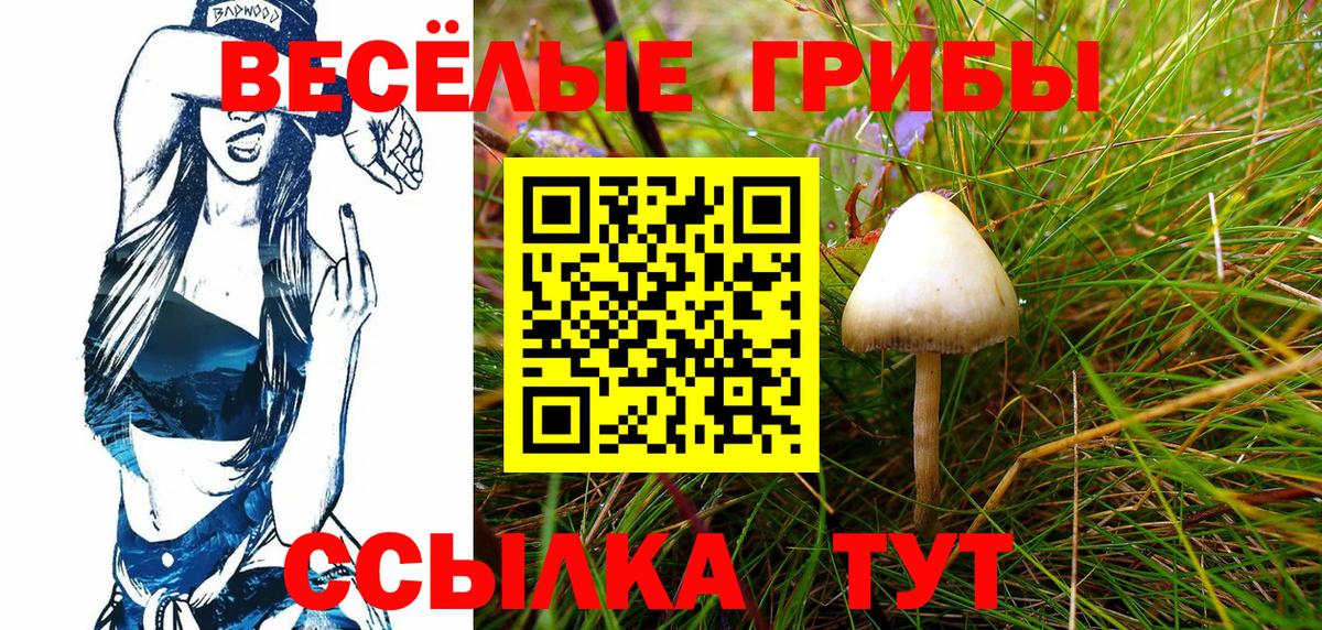 Мурманск  Псилоцибиновые грибы Psilocybine cubensis  Псилоцибиновые грибы GOLDEN TEACHER  Вход с VPN 